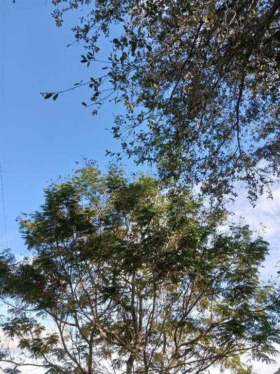 Other City - In The State Of Florida, FL 34432,0000 139 CT.