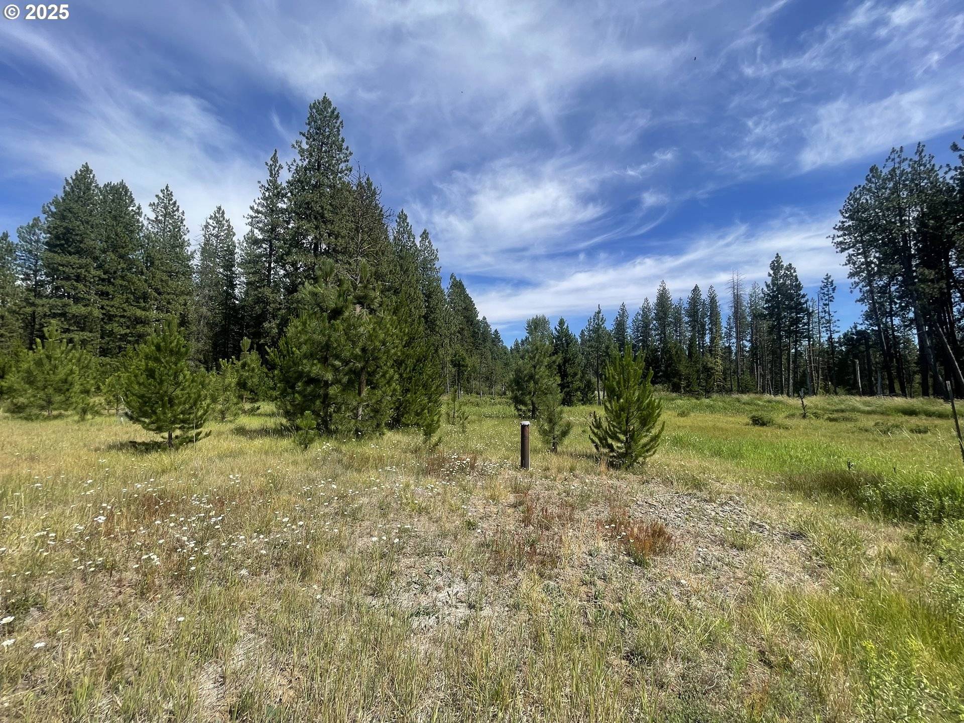 Glenwood, WA 98619,E Adams View DR #6