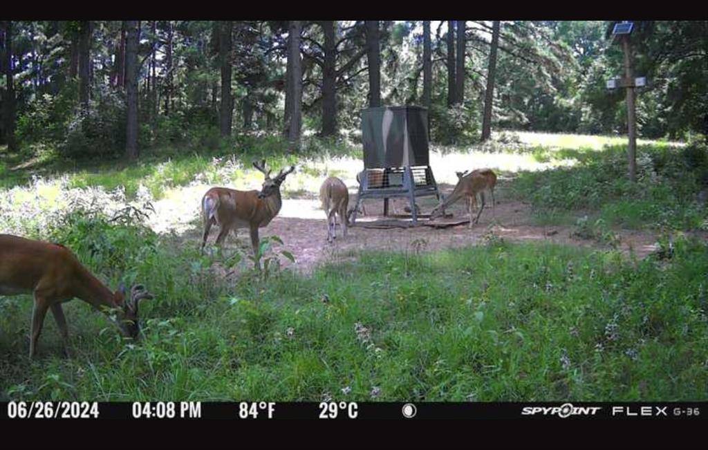 Fairfield, TX 75840,541 FCR 240