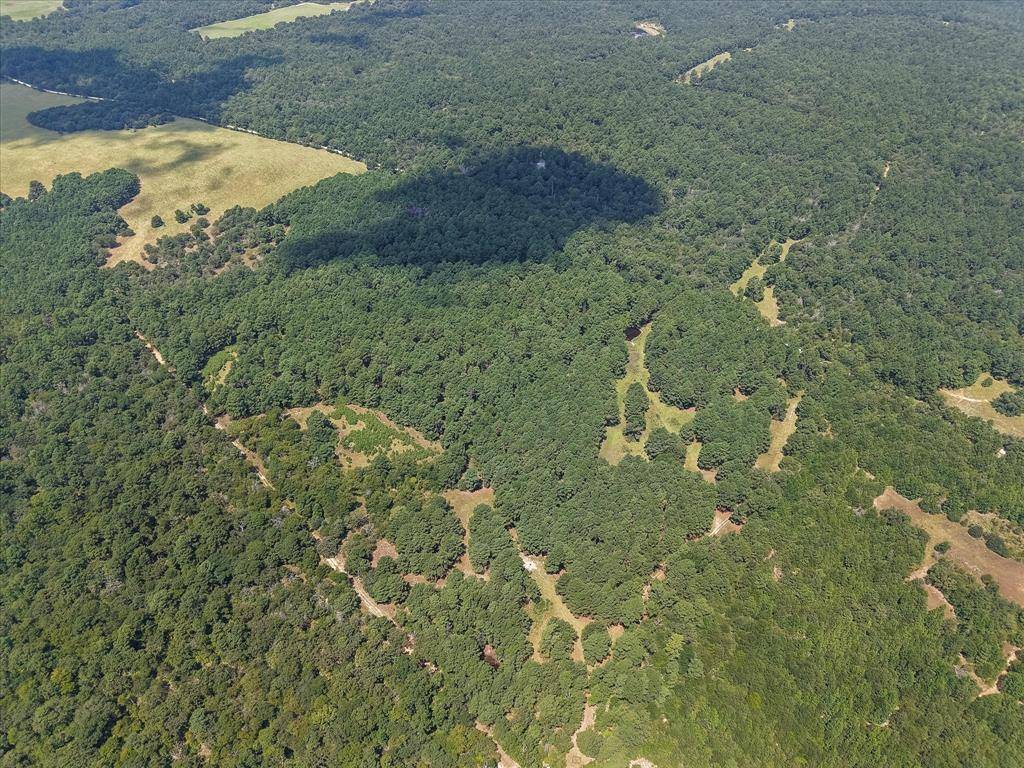 Fairfield, TX 75840,541 FCR 240