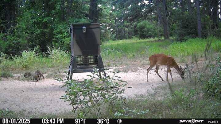 Fairfield, TX 75840,541 FCR 240