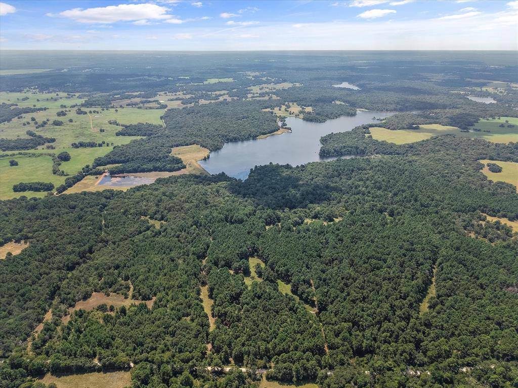 Fairfield, TX 75840,541 FCR 240