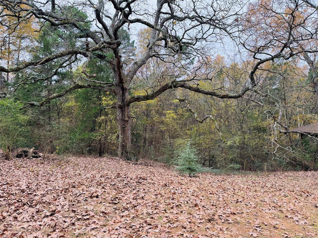 Winnsboro, TX 75494,9689 Farm Road 1448