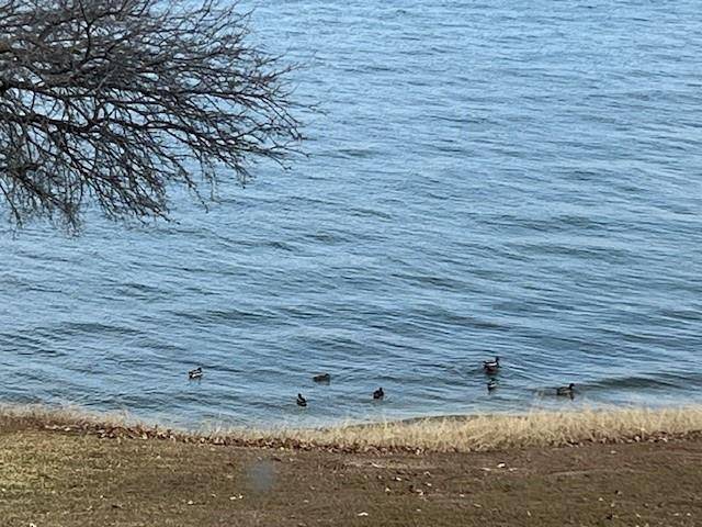 Rowlett, TX 75087,9961 Waterfront Trail #9961