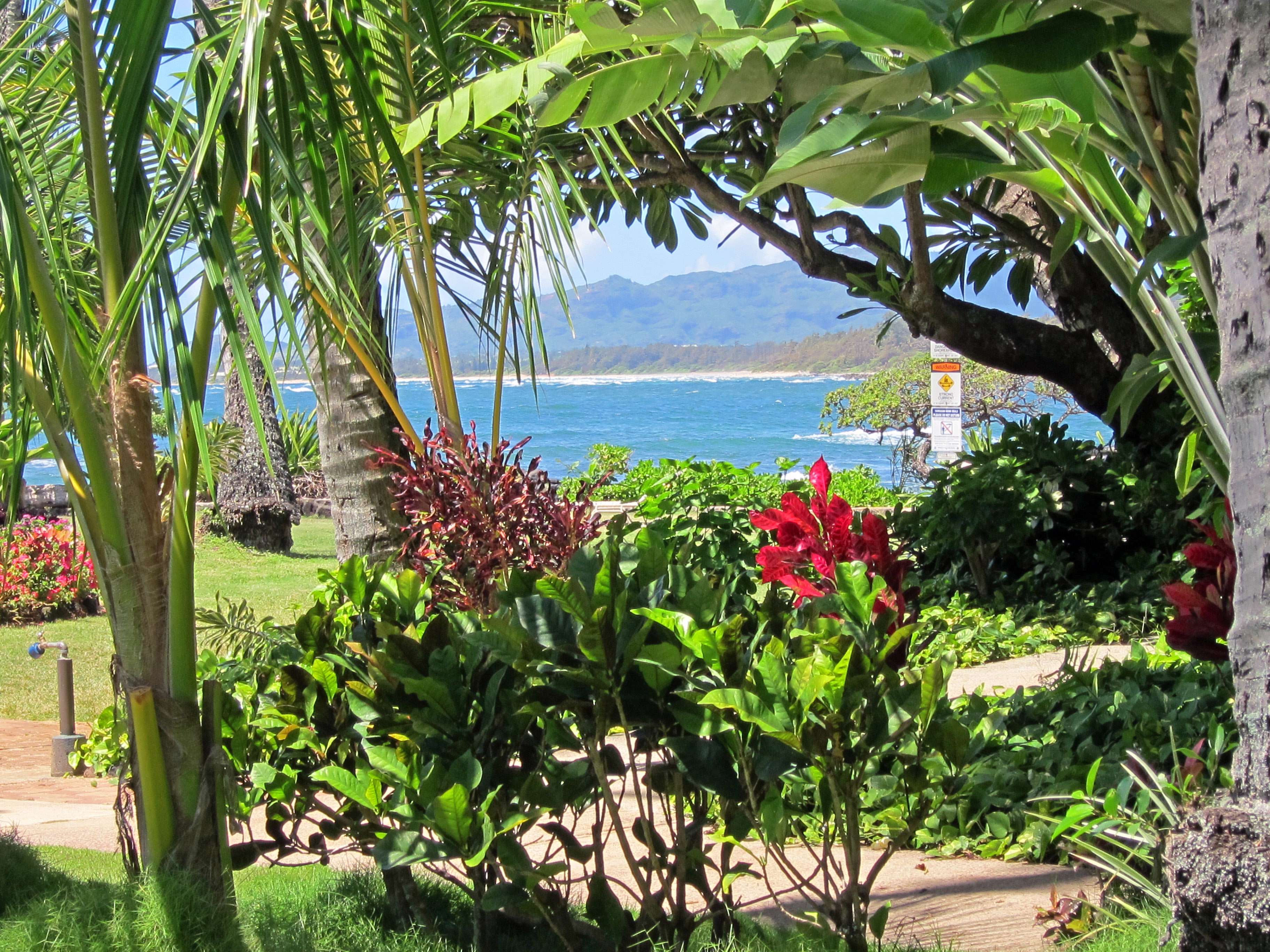 Kapaa, HI 96746,410 PAPALOA RD #211