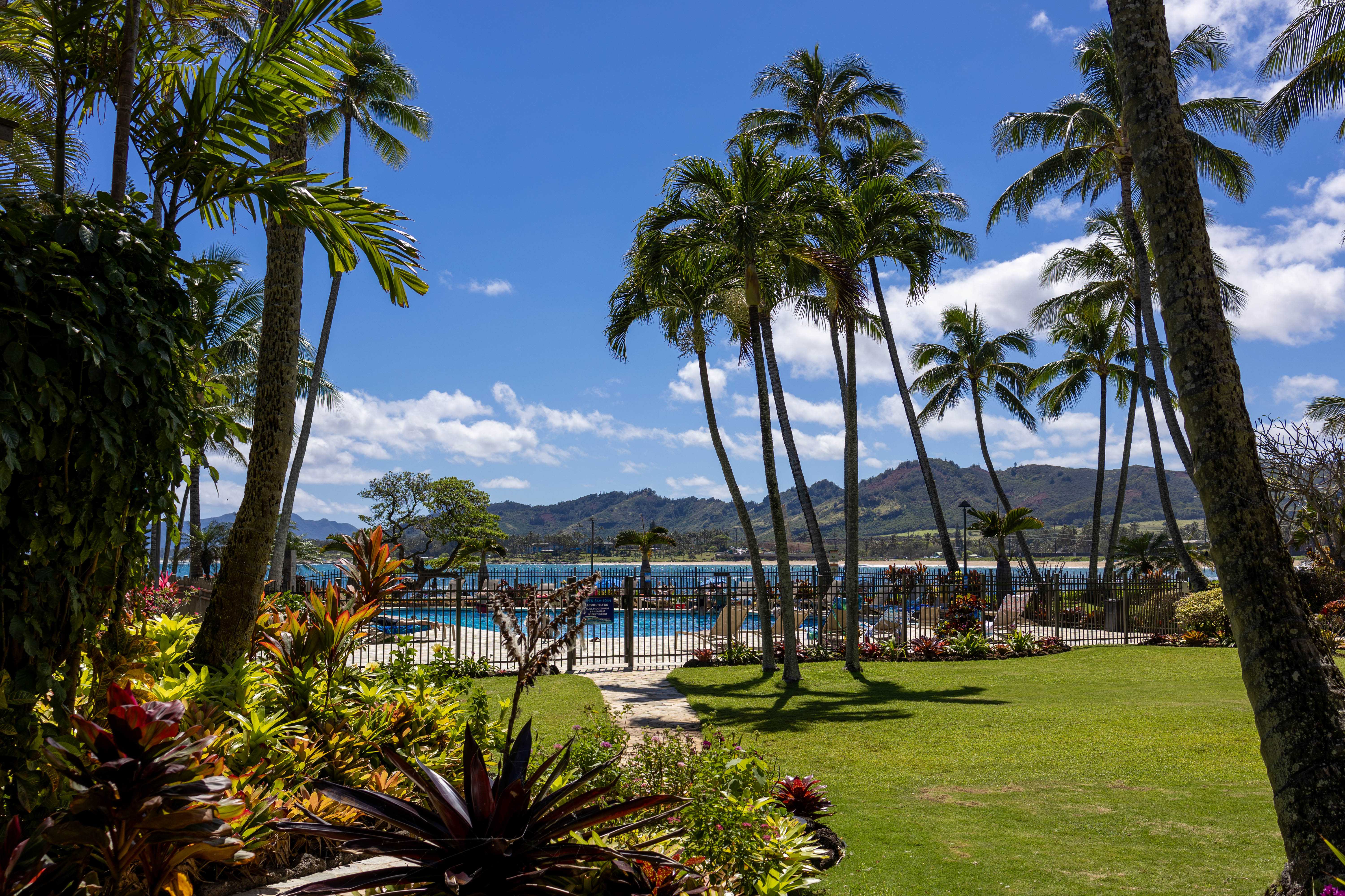 Kapaa, HI 96746,410 PAPALOA RD #211