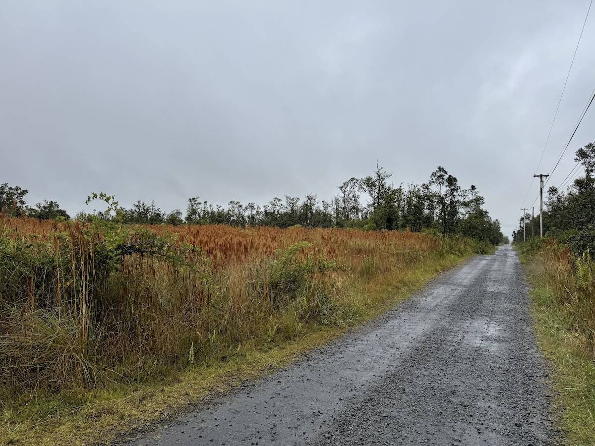 Volcano, HI 96785,OHIALANI RD