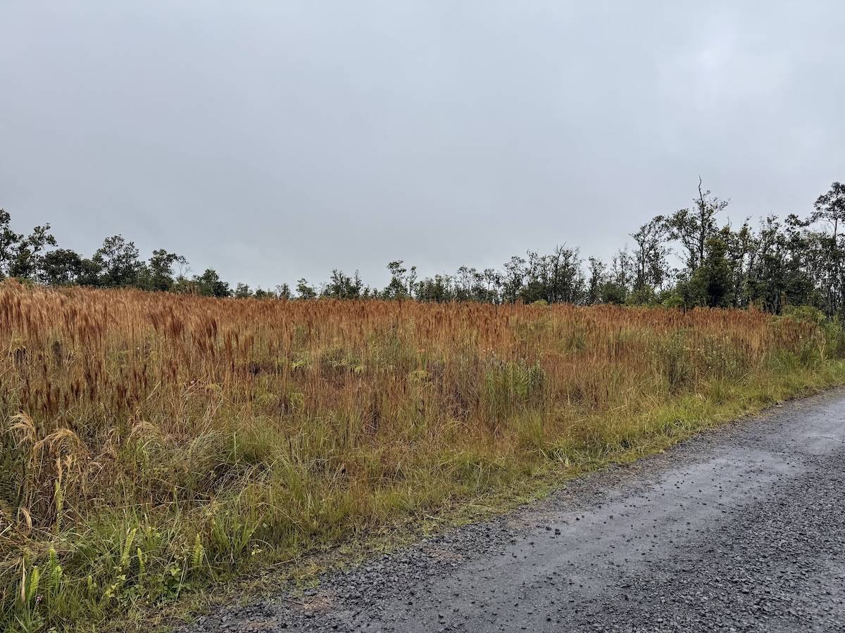 Volcano, HI 96785,OHIALANI RD