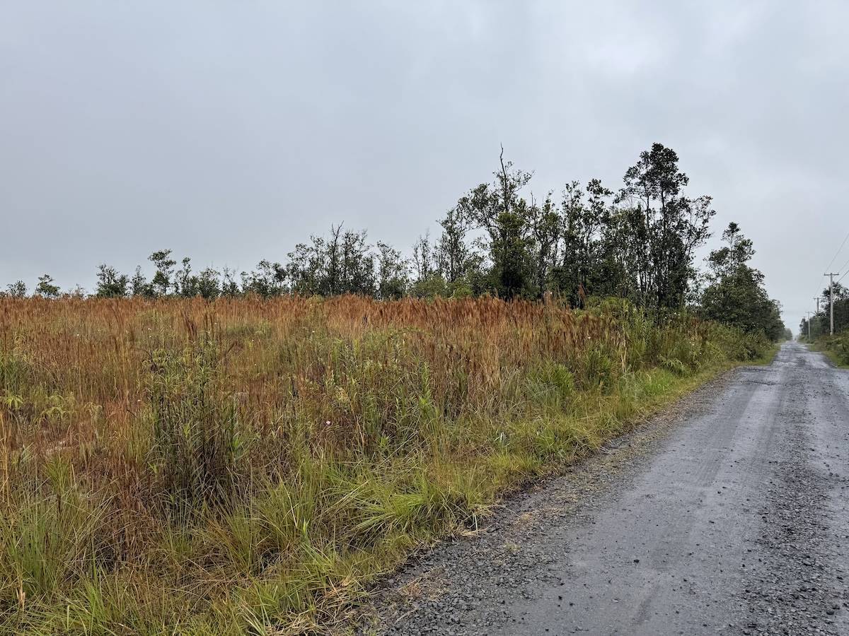 Volcano, HI 96785,OHIALANI RD