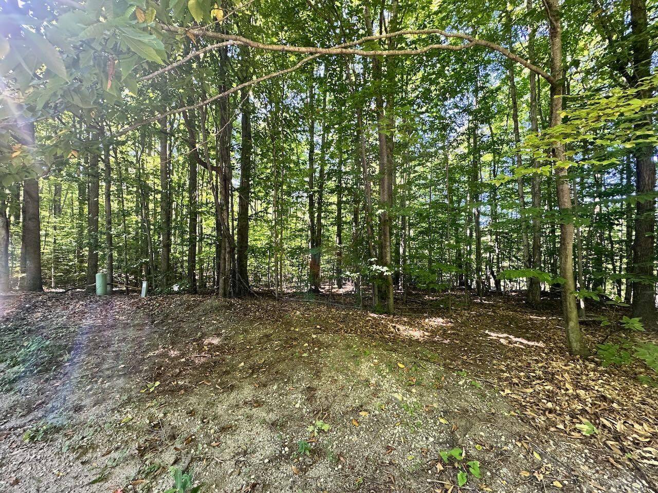 Bellaire, MI 49615,Lot 21 Wonder Strasse