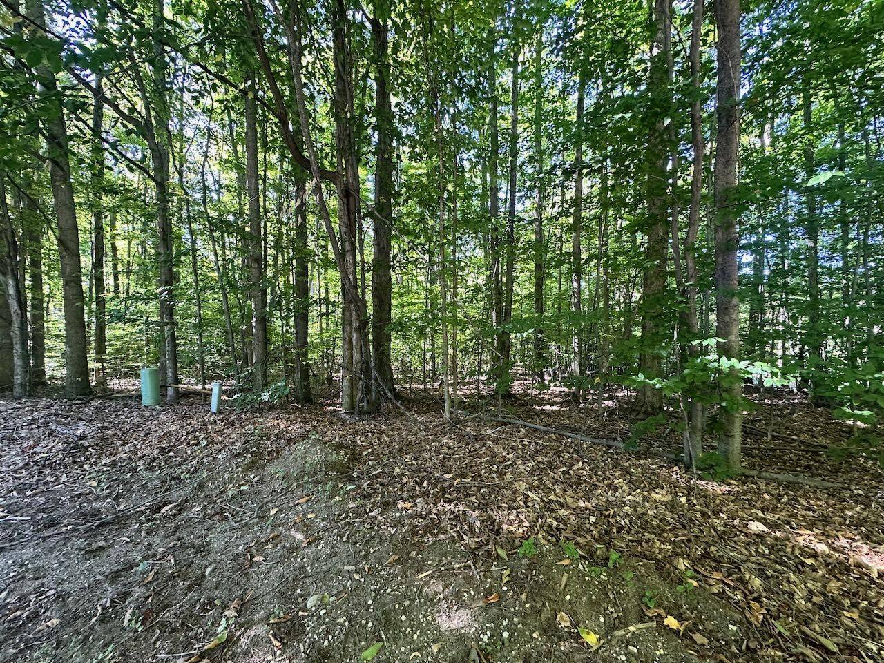 Bellaire, MI 49615,Lot 21 Wonder Strasse