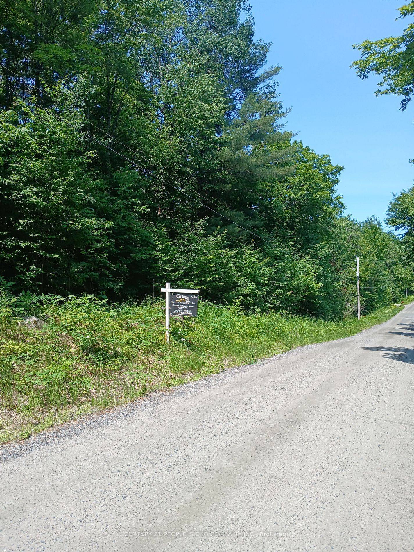 Minden Hills, ON K0M 2K0,1055 Porkys RD