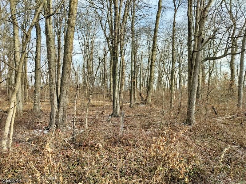 East Amwell Twp., NJ 08551,147 Rocktown Rd