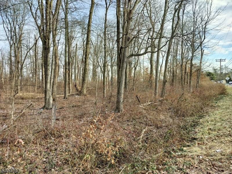 East Amwell Twp., NJ 08551,147 Rocktown Rd