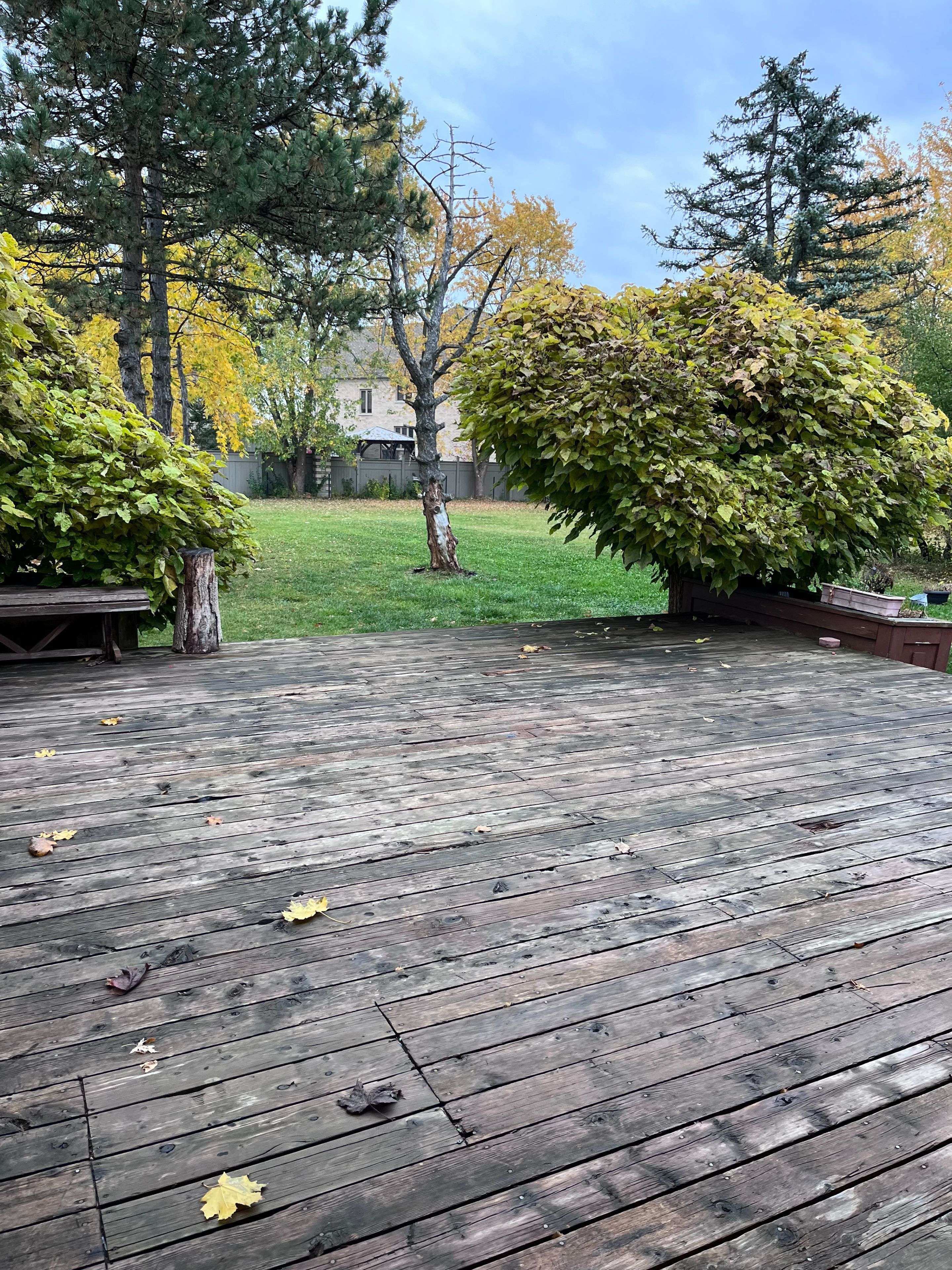 Brampton, ON L6P 0T6,3407 Countryside DR #Main