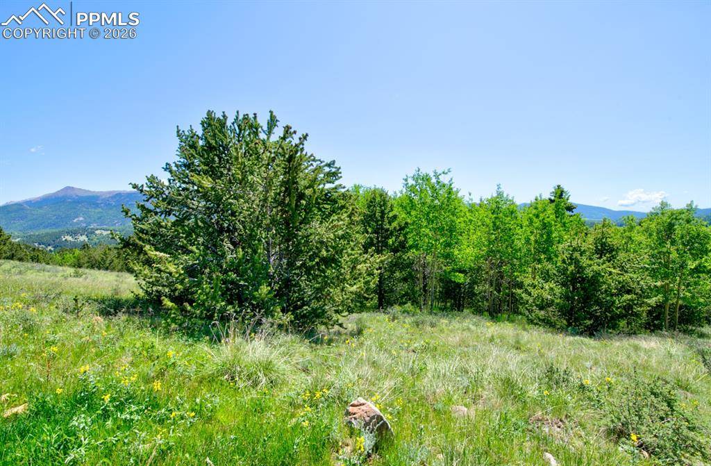 Cripple Creek, CO 80813,Unknown