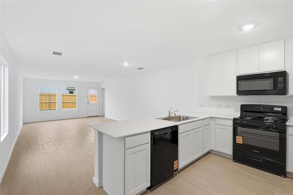 Princeton, TX 75407,1029 Calley Pear Trail