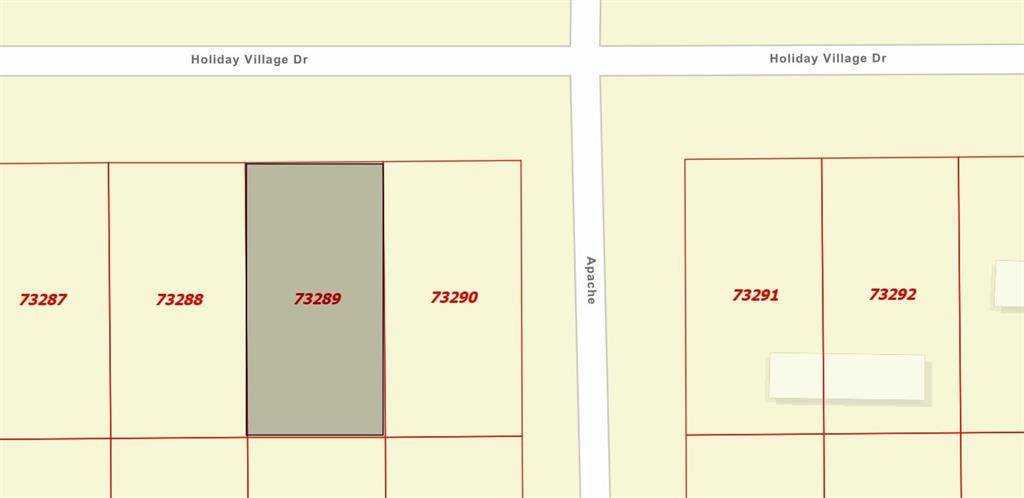 Quitman, TX 75783,295 Holiday Villliage Drive