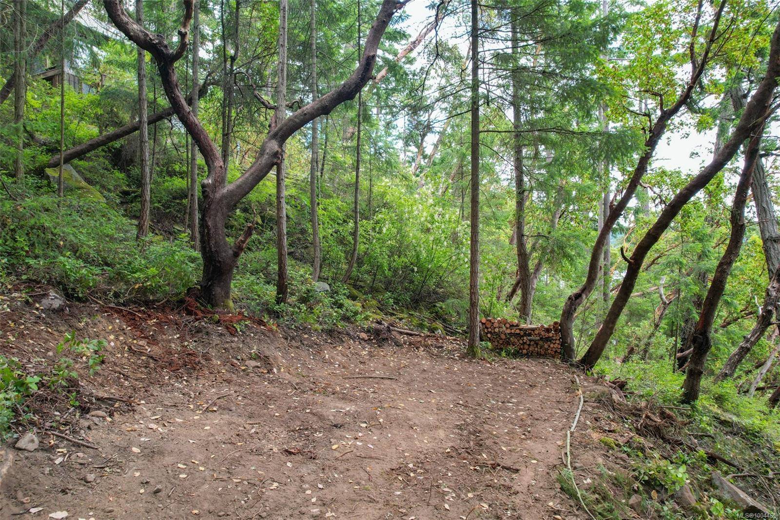 Ruxton Island, BC 000 000,Lot 19 Ruxton Island