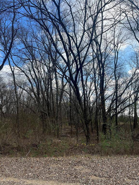 Roxton, TX 75477,N/A Jackson Avenue