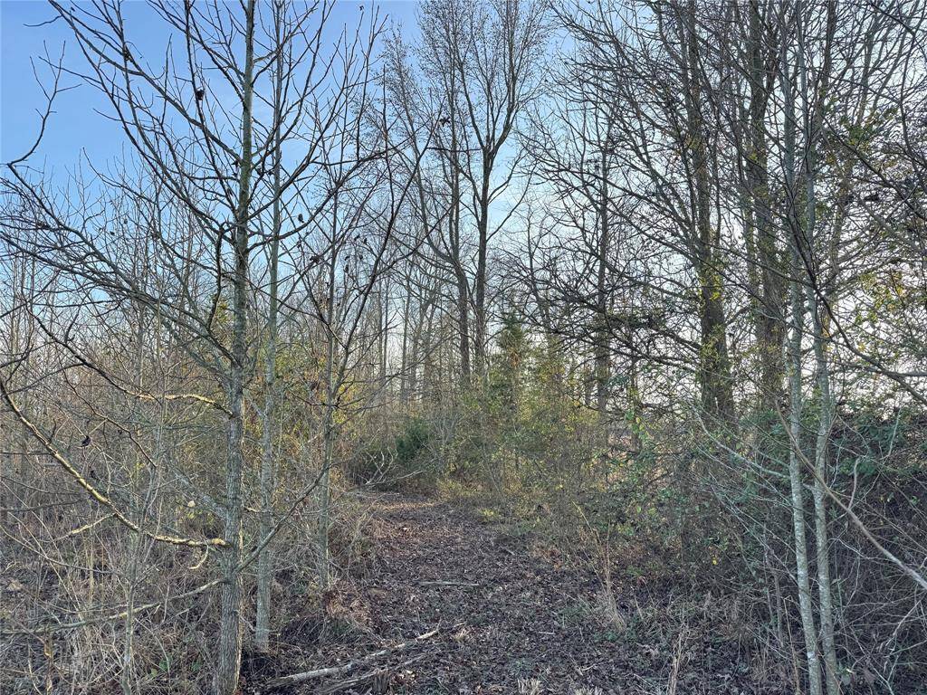 Mount Pleasant, TX 75455,TBD County Road 4740