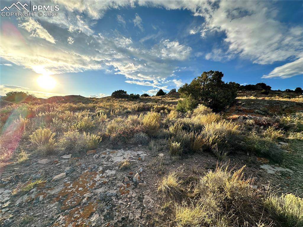 Del Norte, CO 81132,1750 County Road 22