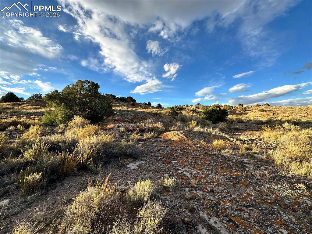 Del Norte, CO 81132,1750 County Road 22