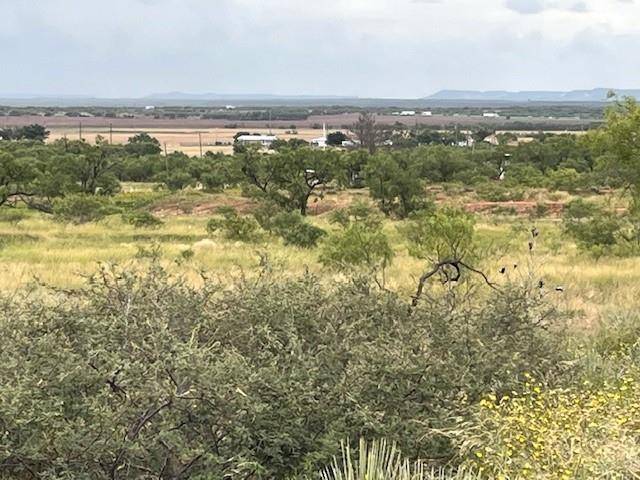 Merkel, TX 79536,TBD3 County Road 405