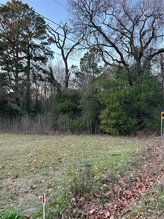 Athens, TX 75751,1203 N Hamlett Street