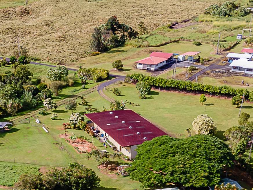 Hilo, HI 96720,195 WAIKAHE RD