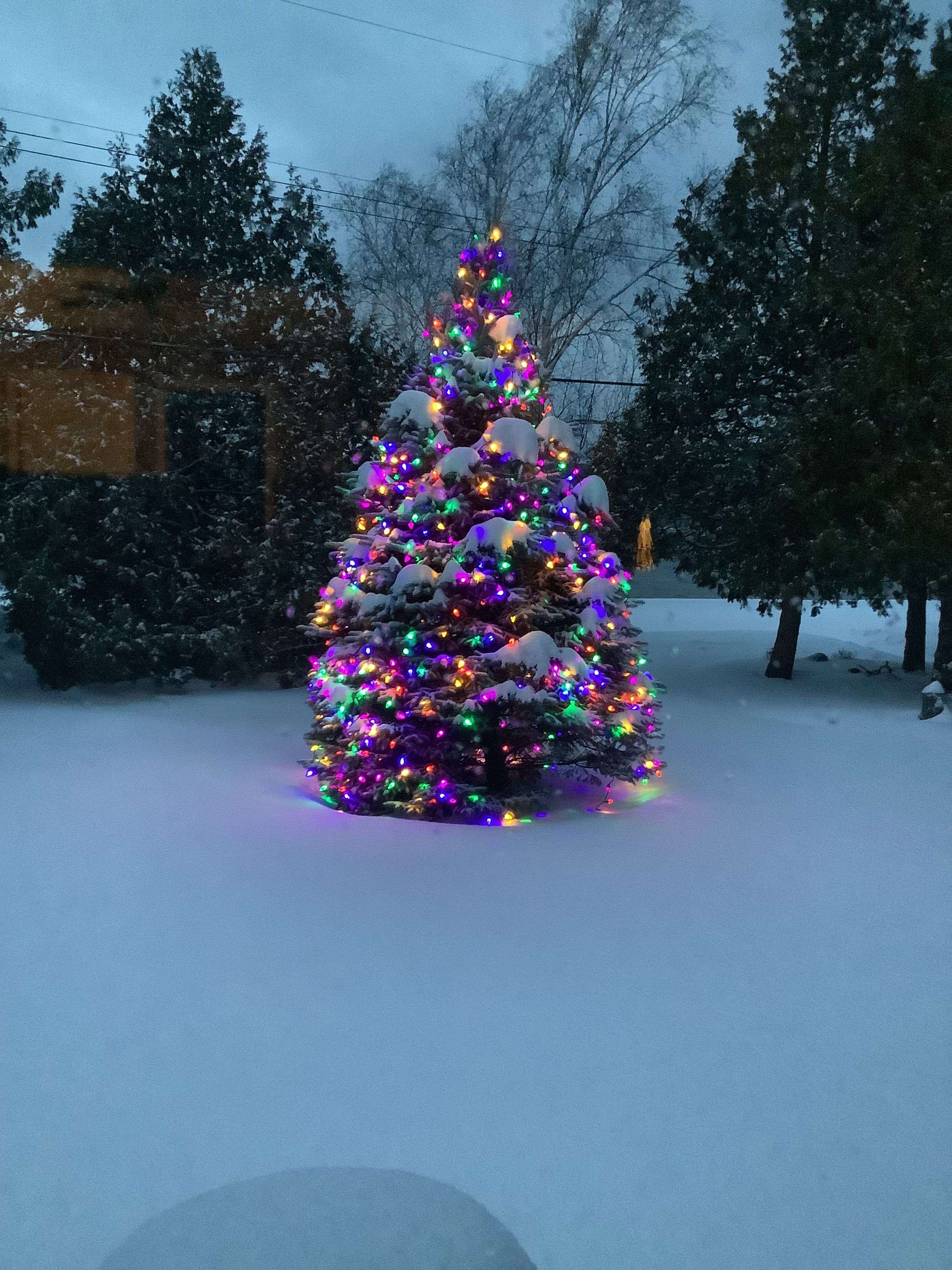 South Bruce Peninsula, ON N0H 2T0,186 Hope Bay RD