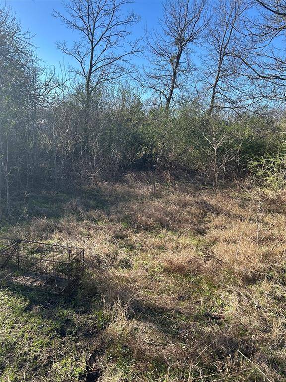 Ladonia, TX 75449,TBD Eastman