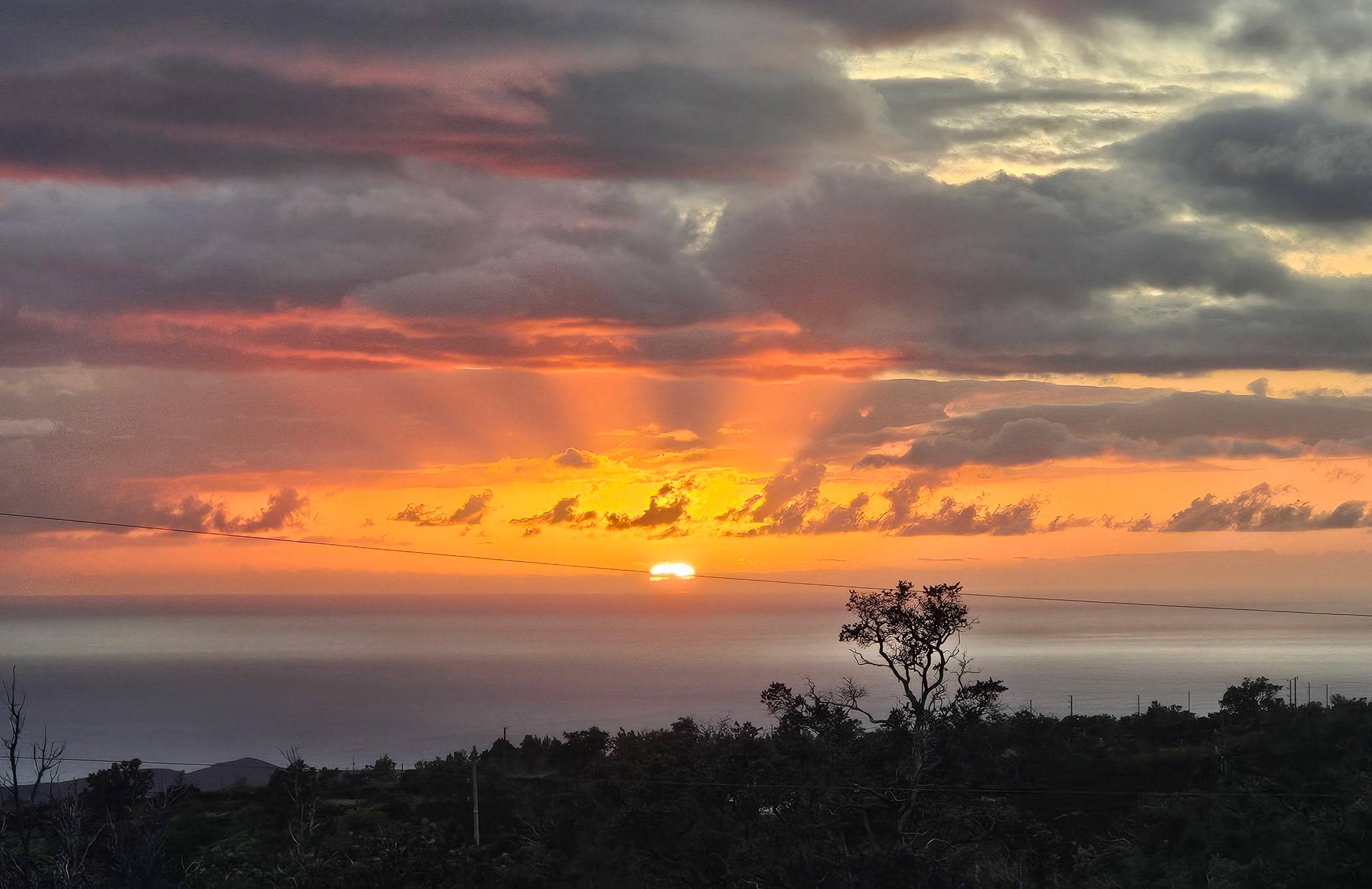 Ocean View, HI 96737,92-8490 JASMINE DR