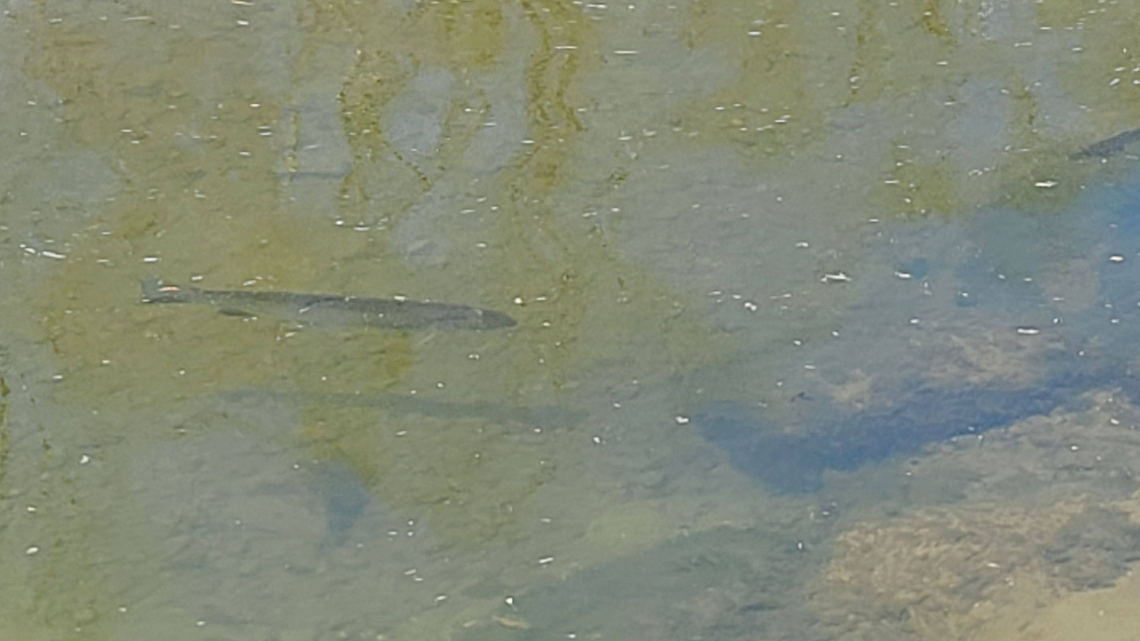 Frontenac Islands, ON K7G 2V6,124 Fuller RD W