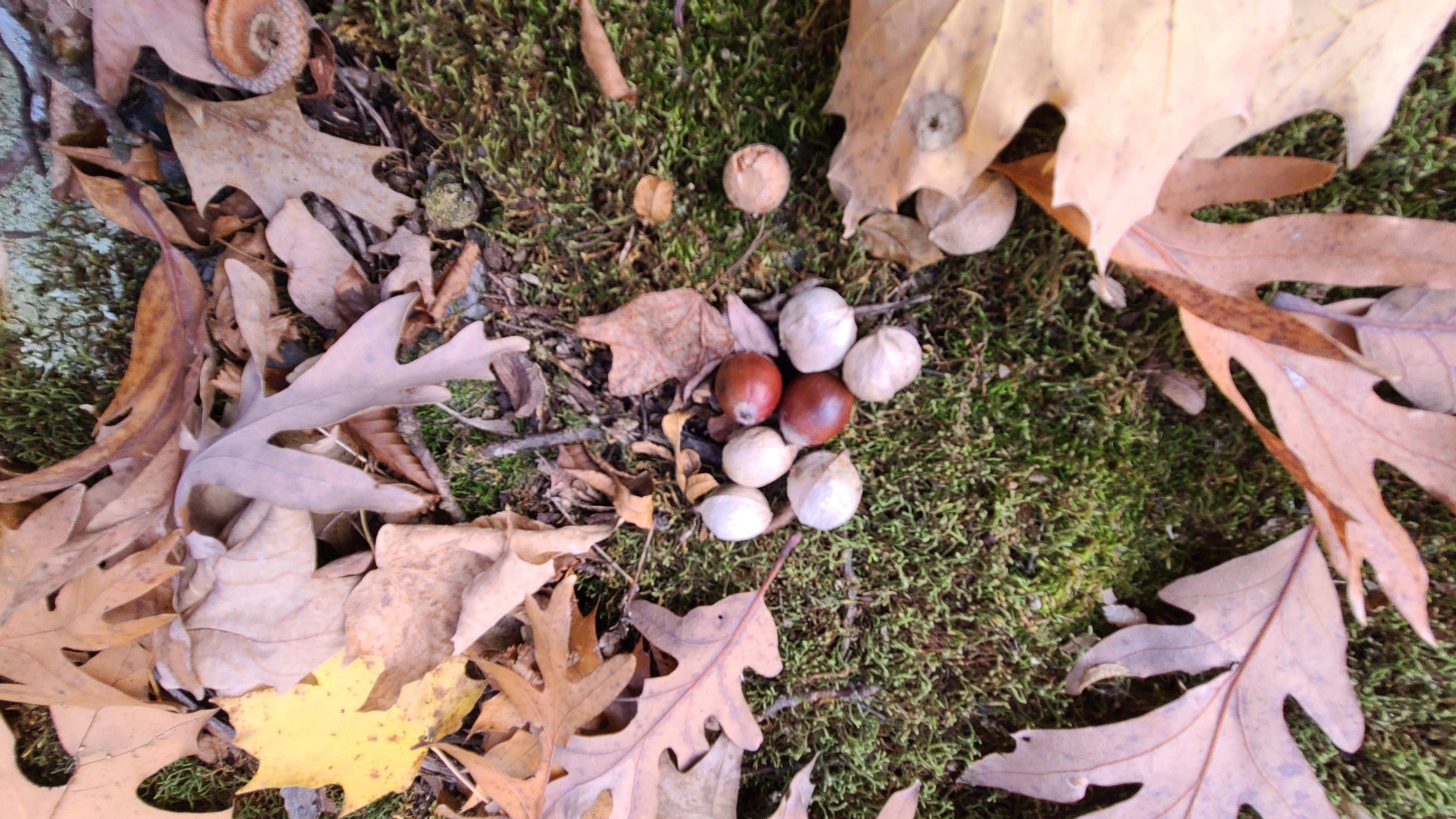 Frontenac Islands, ON K7G 2V6,124 Fuller RD W