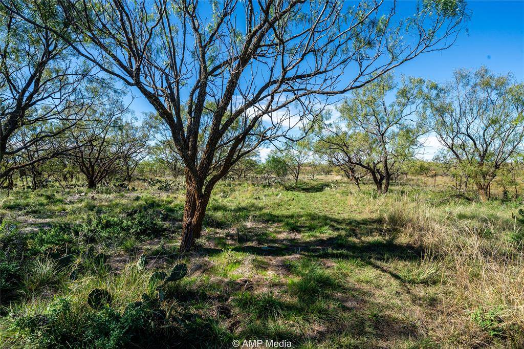 Talpa, TX 76882,151 County Road 412