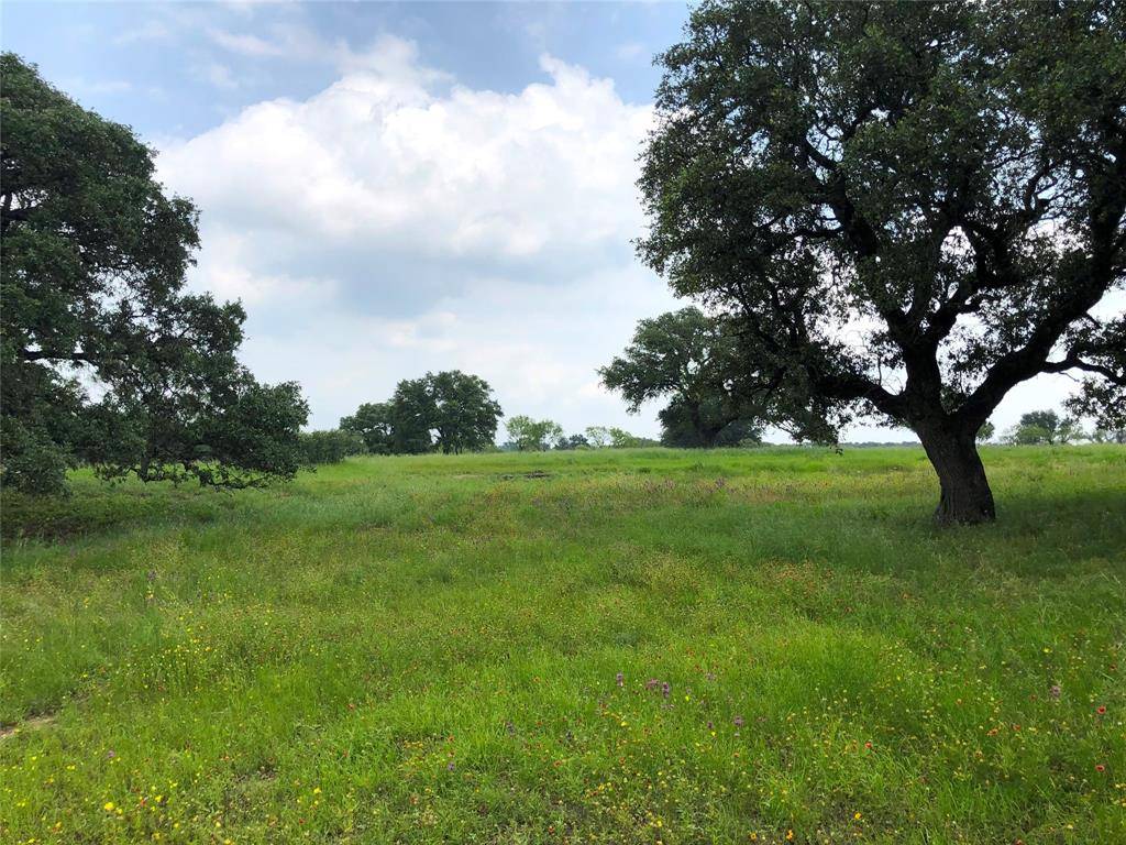 Blanket, TX 76432,Lot 30 Ledge Stone Lane