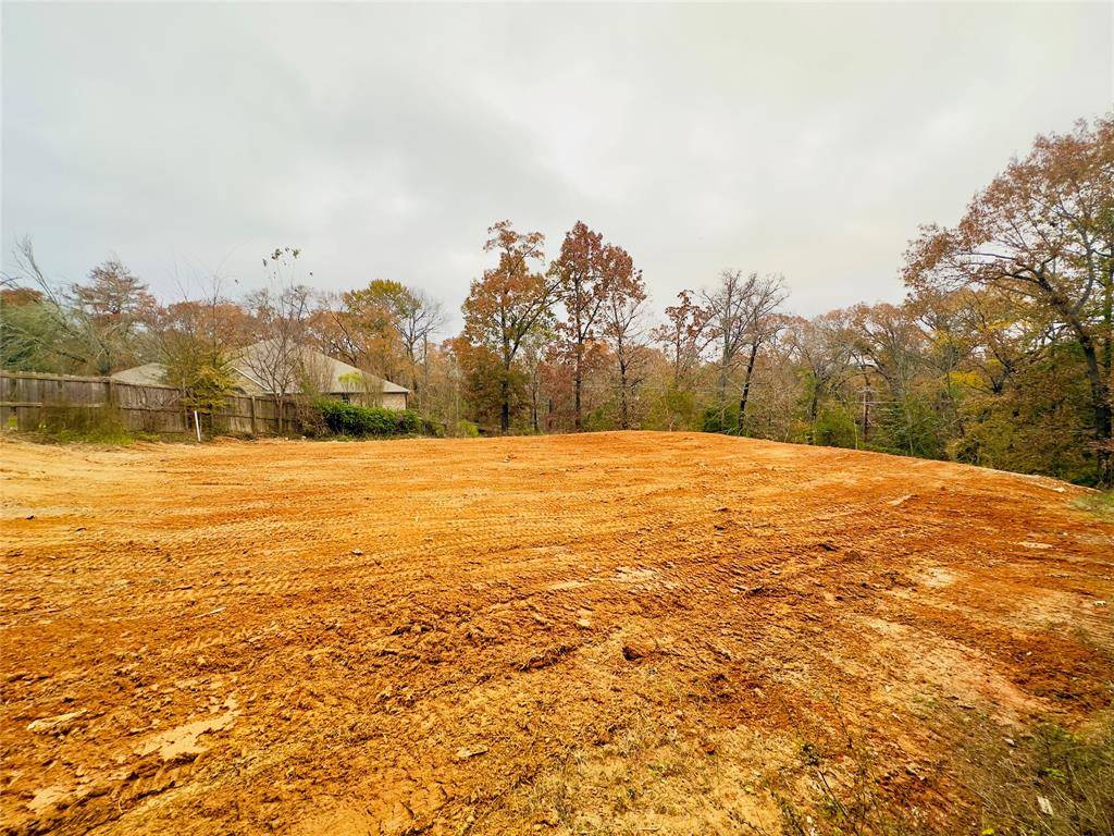 Palestine, TX 75801,110 Elmwood Court