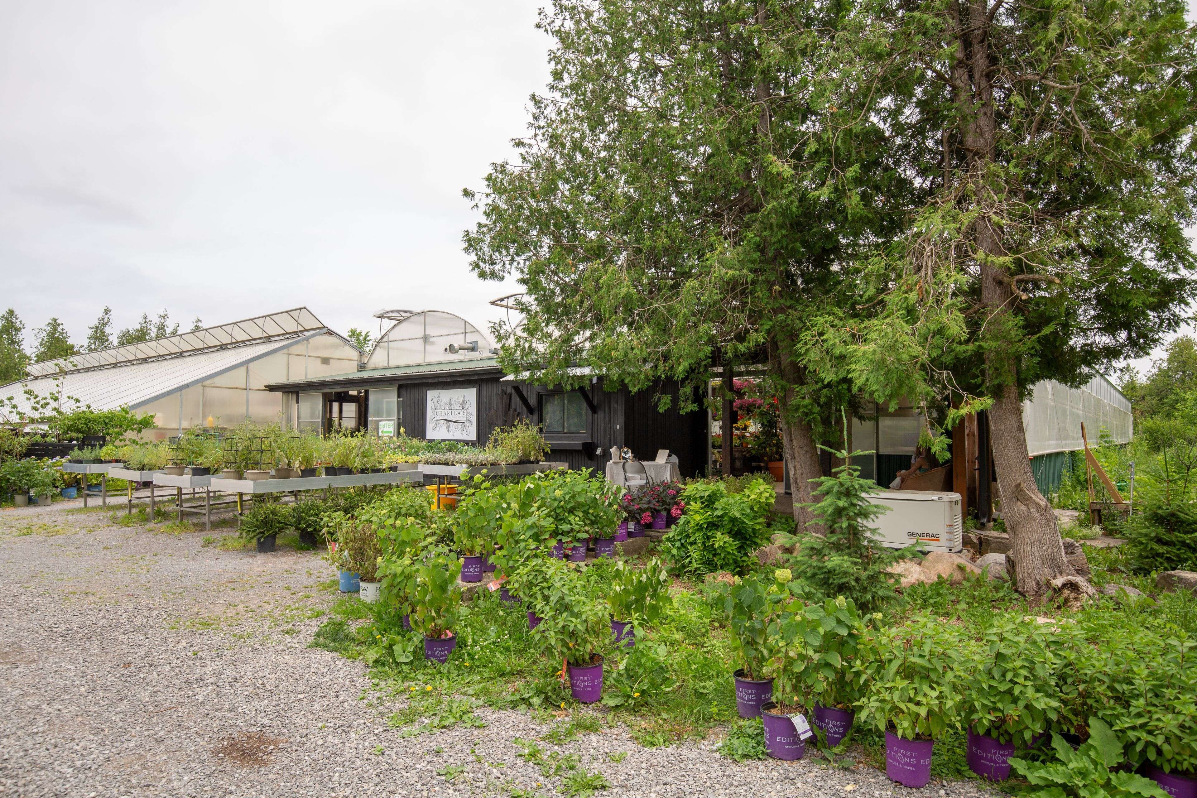 Douro-dummer, ON K0L 2H0,4115 County Rd 32 N/A