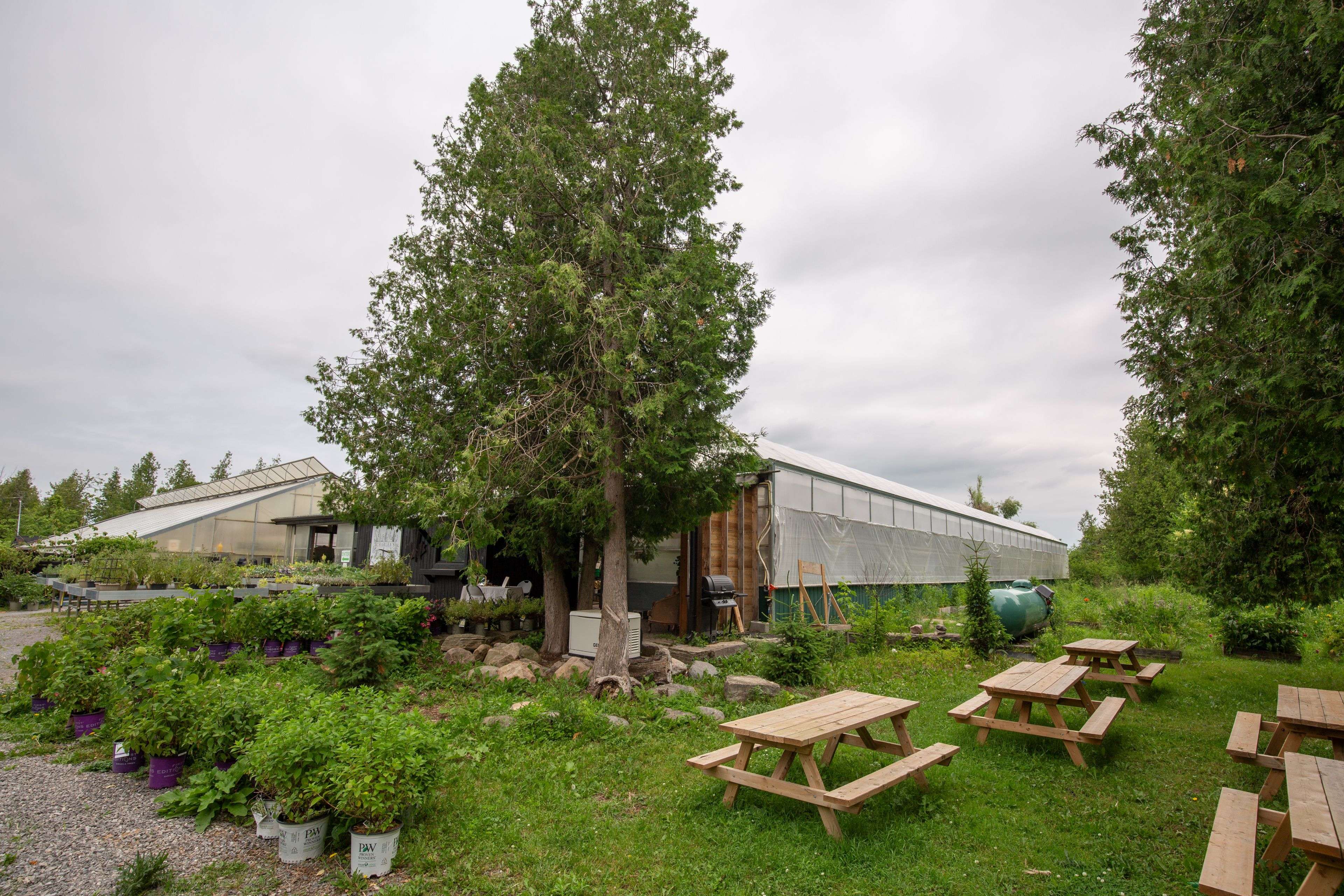 Douro-dummer, ON K0L 2H0,4115 County Rd 32 N/A