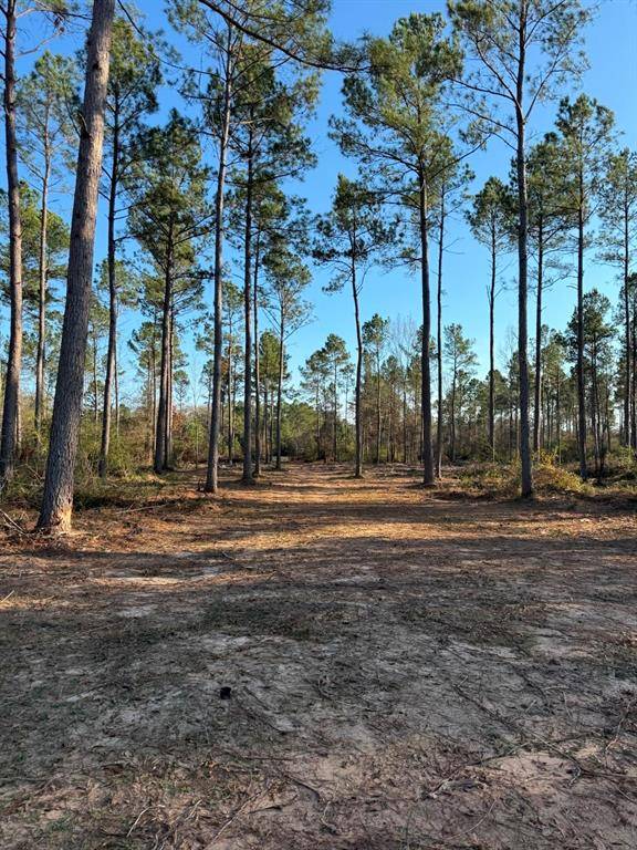 Beckville, TX 75631,TBD-B County Road 216