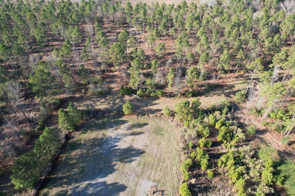 Beckville, TX 75631,TBD-B County Road 216