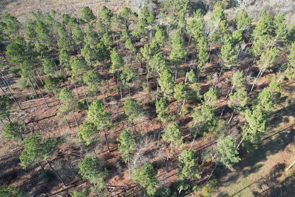 Beckville, TX 75631,TBD-B County Road 216