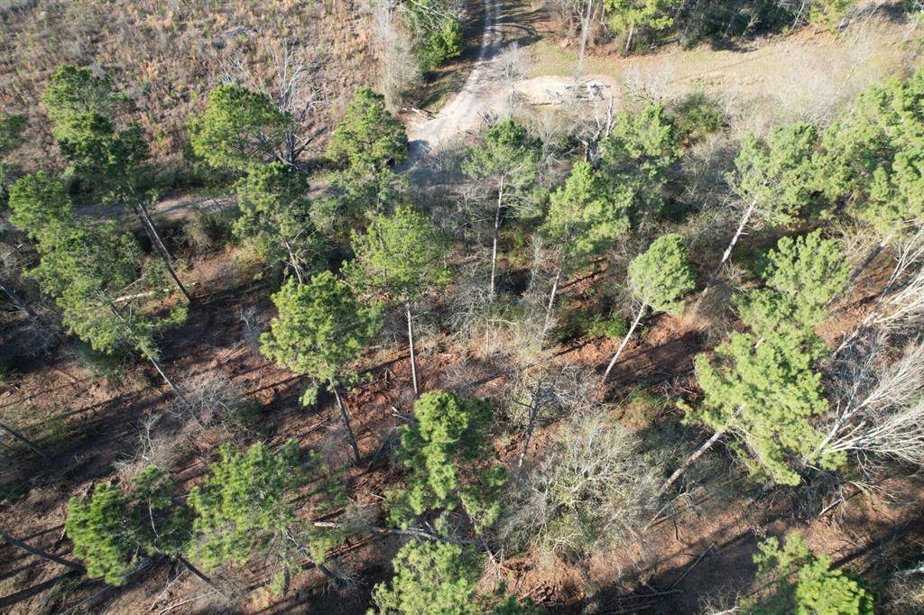 Beckville, TX 75631,TBD-B County Road 216