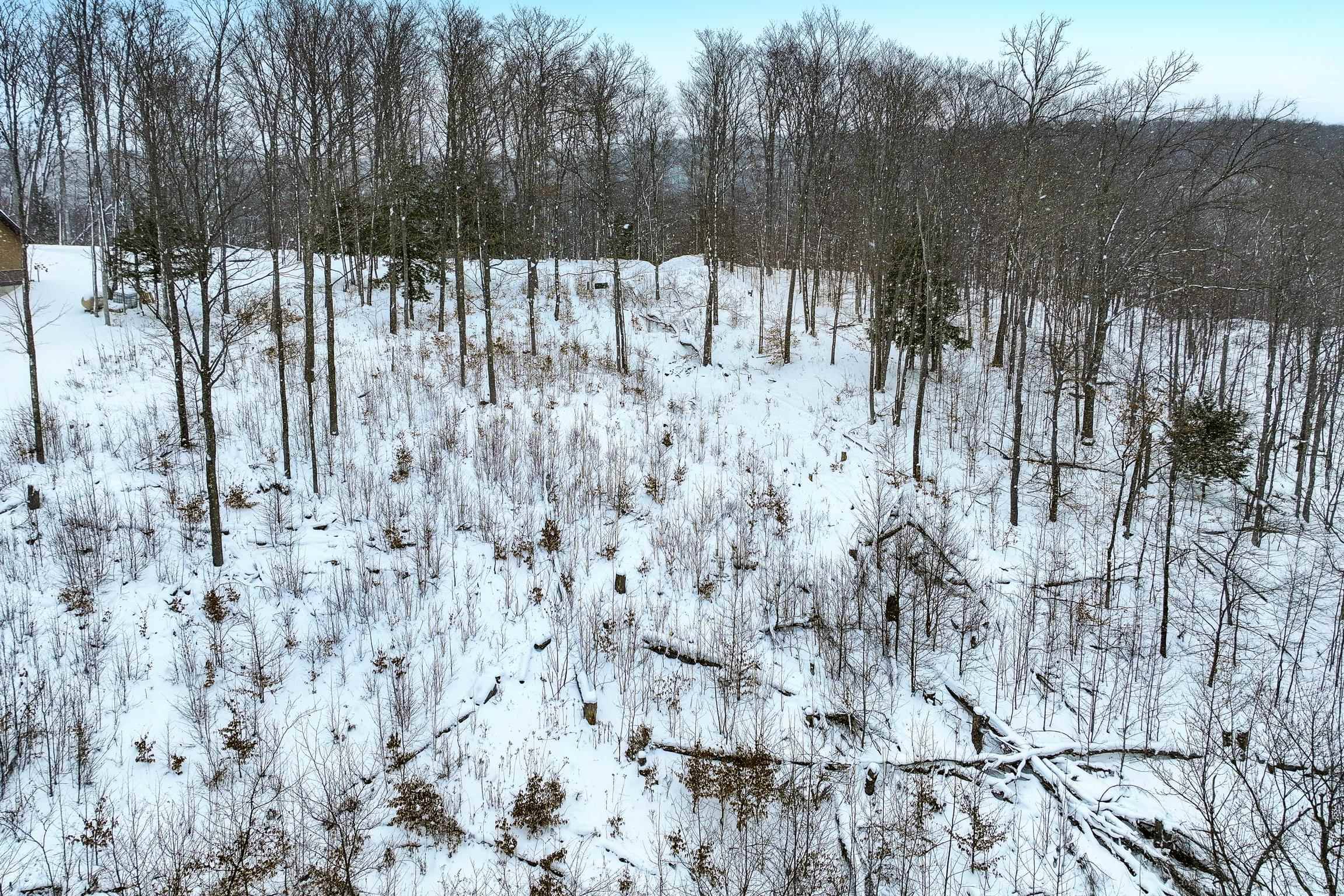 Boyne City, MI 49712,Lot 11 Connemara DR