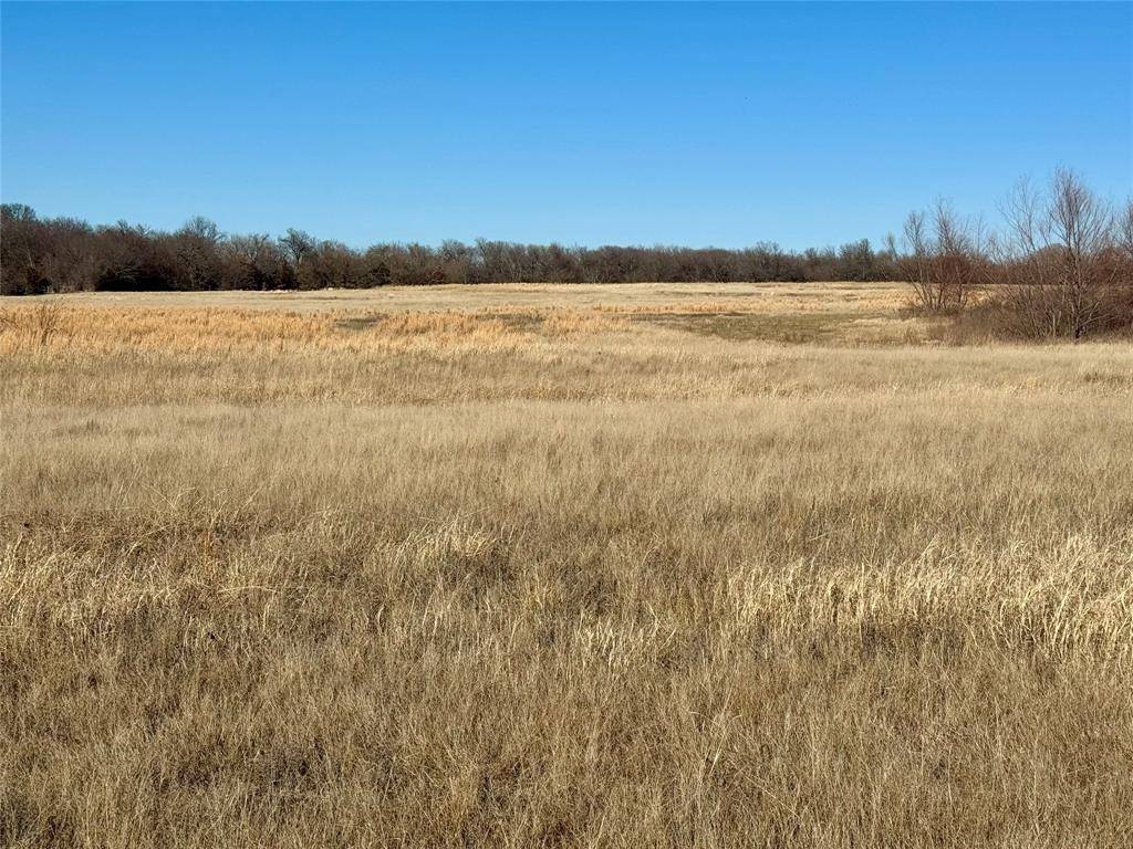 Wolfe City, TX 75496,840 County Road 4817