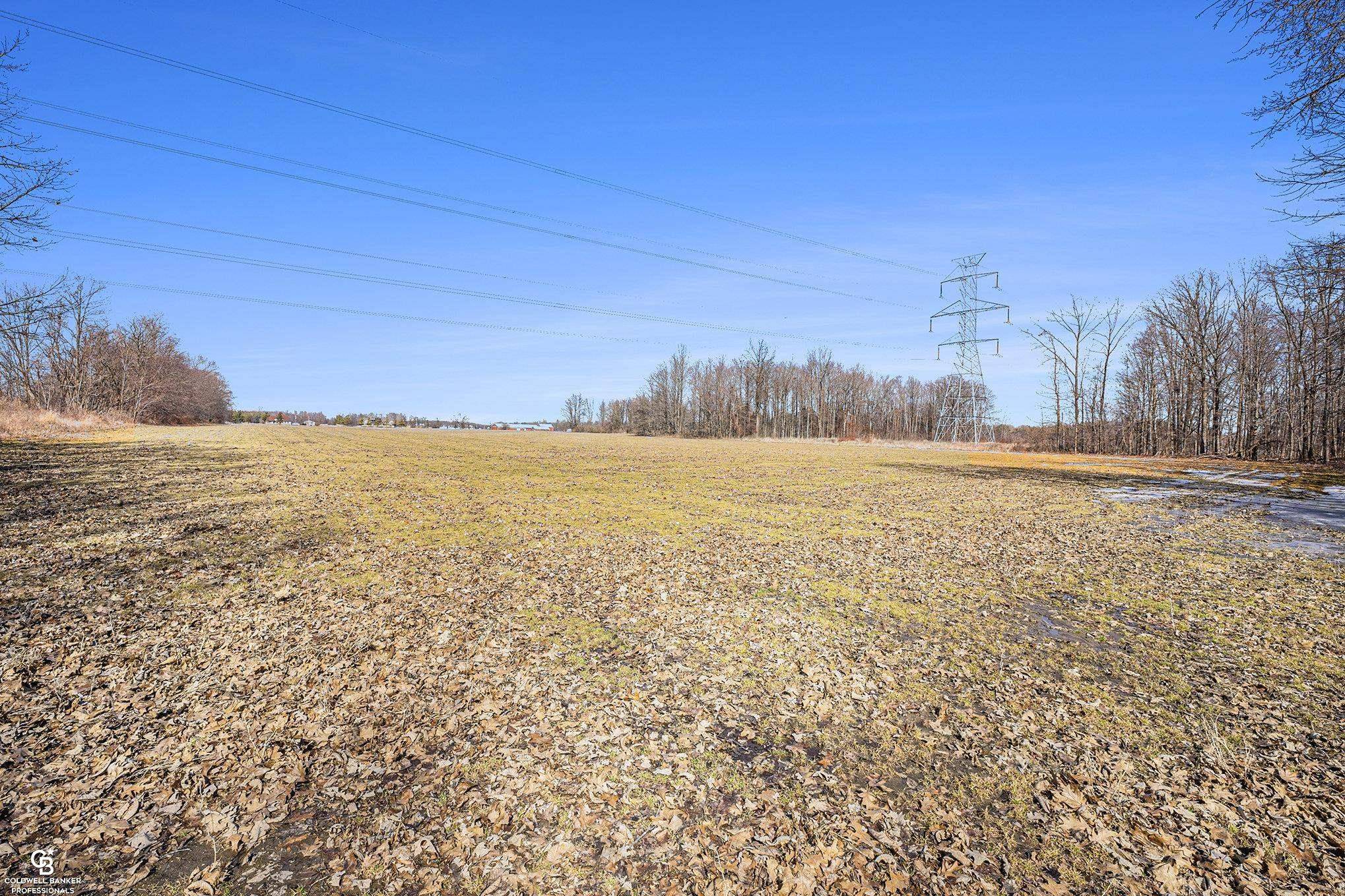 Casco, MI 48064,00 Meisner Parcel C RD