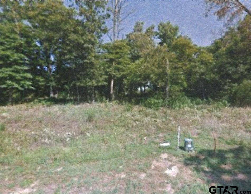 Tyler, TX 75709,4230 Hogan Drive