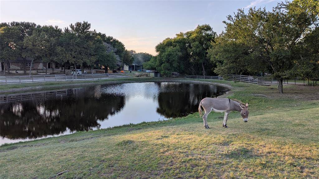 Nevada, TX 75173,5440 Business 78 S