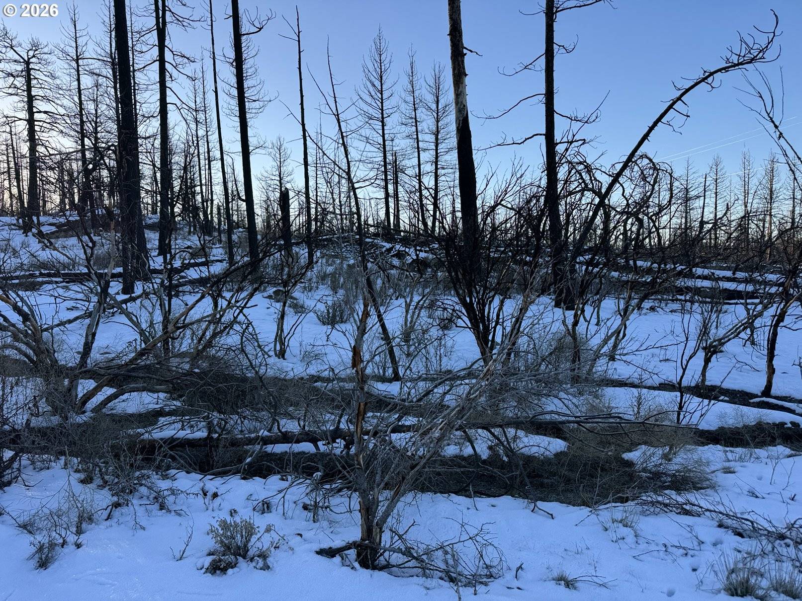 Bonanza, OR 97623,Hummingbird DR #1